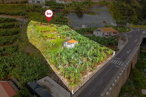 Helårsgrund i Ponta do Sol, Madeira, Ponta do Sol - € 630.000 | Ref: KWPT-026013 - foto 2