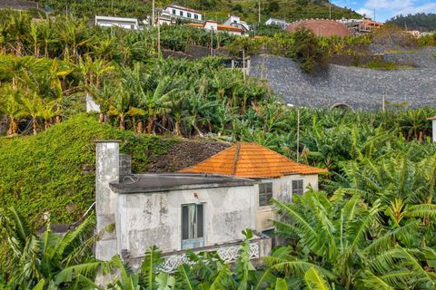Helårsgrund i Ponta do Sol, Madeira, Ponta do Sol - € 630.000 | Ref: KWPT-026013 - foto 3