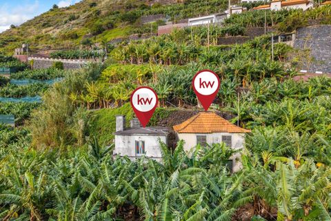 Helårsgrund i Ponta do Sol, Madeira, Ponta do Sol - € 630.000 | Ref: KWPT-026013 - foto 4