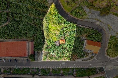 Helårsgrund i Ponta do Sol, Madeira, Ponta do Sol - € 630.000 | Ref: KWPT-026013 - foto 1