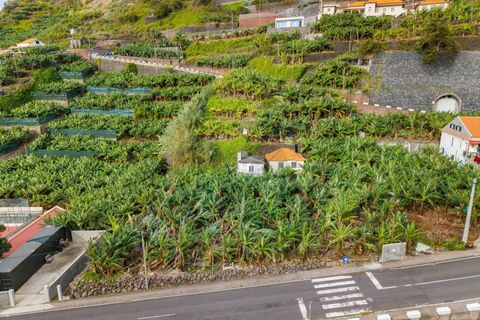 Helårsgrund i Ponta do Sol, Madeira, Ponta do Sol - € 630.000 | Ref: KWPT-026013 - foto 6
