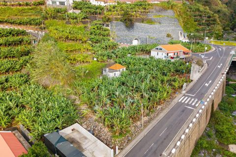 Helårsgrund i Ponta do Sol, Madeira, Ponta do Sol - € 630.000 | Ref: KWPT-026013 - foto 7