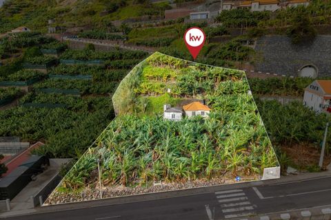Helårsgrund i Ponta do Sol, Madeira, Ponta do Sol - € 630.000 | Ref: KWPT-026013 - foto 8