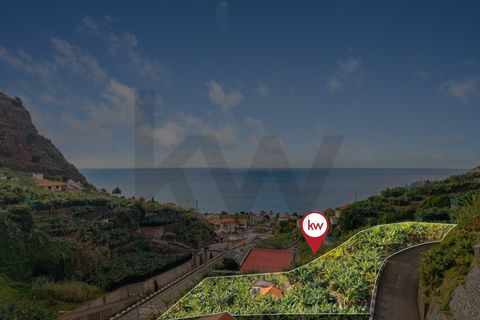 Helårsgrund i Ponta do Sol, Madeira, Ponta do Sol - € 630.000 | Ref: KWPT-026013 - foto 9