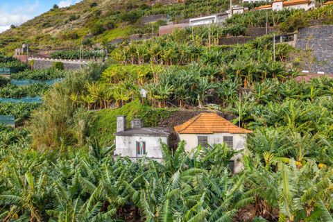 Helårsgrund i Ponta do Sol, Madeira, Ponta do Sol - € 630.000 | Ref: KWPT-026013 - foto 11