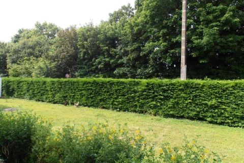 Villa a Verteuil-sur-Charente, Charente, Verteuil-sur-Charente - € 297.800 | Ref: r7032 - foto 24