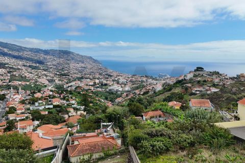 Byhus i Funchal, Madeira, Funchal - € 1.250.000 | Ref: KWPT-025707 - foto 48