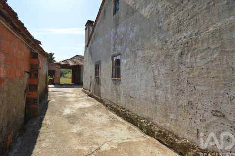 Rækkehus i Ansiao, Leiria, Ansiao - € 89.000 | Ref: 100757 - foto 4