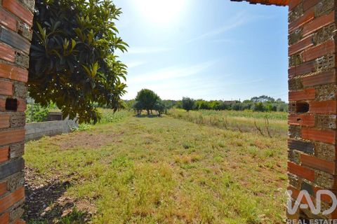 Rækkehus i Ansiao, Leiria, Ansiao - € 89.000 | Ref: 100757 - foto 19