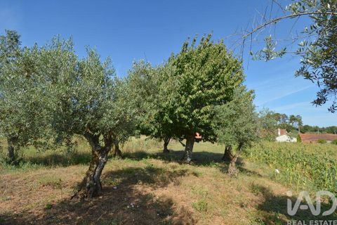 Rækkehus i Ansiao, Leiria, Ansiao - € 89.000 | Ref: 100757 - foto 21