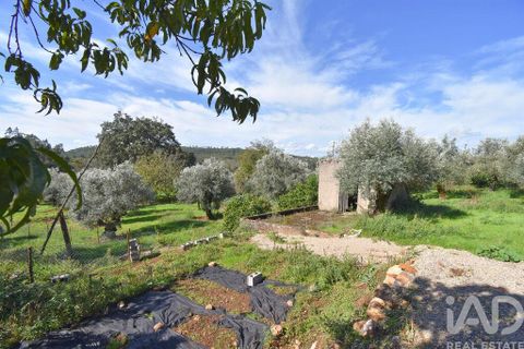 Rækkehus i Penela, Coimbra, Penela - € 79.000 | Ref: 129031 - foto 24