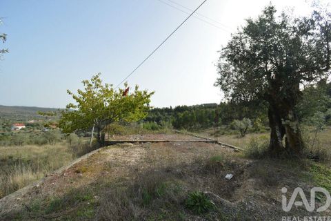 Terra a Ansiao, Leiria, Ansiao - € 25.000 | Ref: 82556 - foto 2