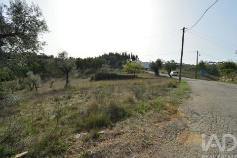 Terra a Ansiao, Leiria, Ansiao - € 25.000 | Ref: 82556 - foto 3