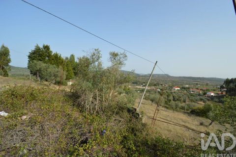 Terra a Ansiao, Leiria, Ansiao - € 25.000 | Ref: 82556 - foto 5