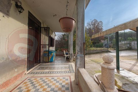 Villa a Torrice, Frosinone, Torrice - € 109.000 | Ref: AC99-149-1704 - foto 12