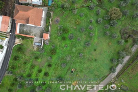 Villa i Serra, Santarem, Serra - € 345 000 | Ref: 561/25 - foto 8
