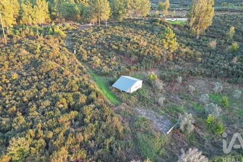 Terra a Seia, Guarda, Seia - € 42.500 | Ref: 130390 - foto 2