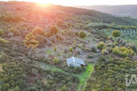 Terra a Seia, Guarda, Seia - € 42.500 | Ref: 130390 - foto 3