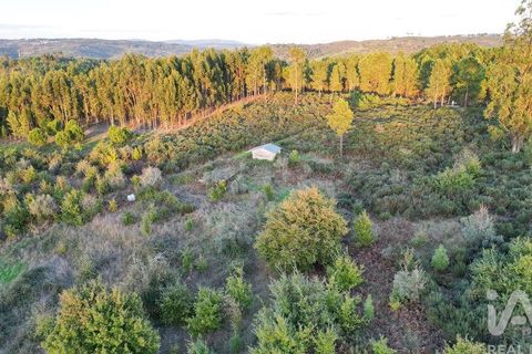 Terra a Seia, Guarda, Seia - € 42.500 | Ref: 130390 - foto 4