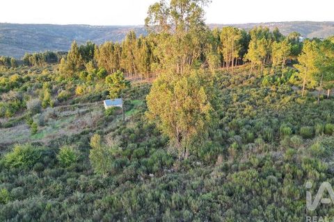 Terra a Seia, Guarda, Seia - € 42.500 | Ref: 130390 - foto 5