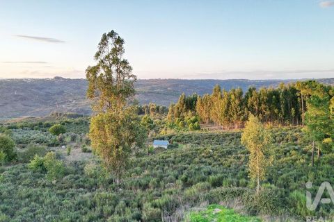 Terra a Seia, Guarda, Seia - € 42.500 | Ref: 130390 - foto 6