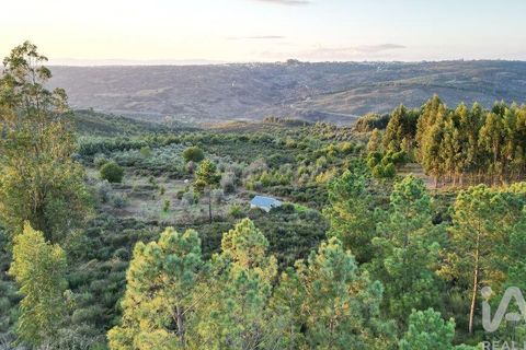 Terra a Seia, Guarda, Seia - € 42.500 | Ref: 130390 - foto 7