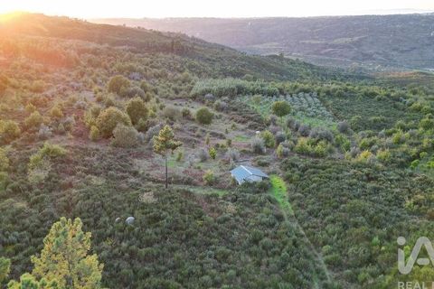 Terra a Seia, Guarda, Seia - € 42.500 | Ref: 130390 - foto 8