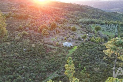 Terra a Seia, Guarda, Seia - € 42.500 | Ref: 130390 - foto 9