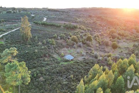 Terra a Seia, Guarda, Seia - € 42.500 | Ref: 130390 - foto 10