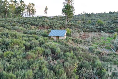 Terra a Seia, Guarda, Seia - € 42.500 | Ref: 130390 - foto 11
