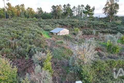 Terra a Seia, Guarda, Seia - € 42.500 | Ref: 130390 - foto 12