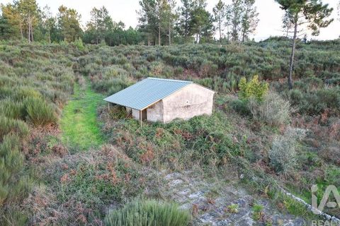 Terra a Seia, Guarda, Seia - € 42.500 | Ref: 130390 - foto 13