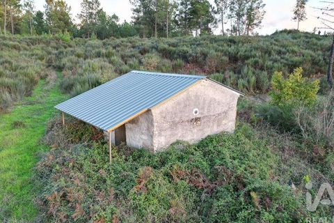 Terra a Seia, Guarda, Seia - € 42.500 | Ref: 130390 - foto 14