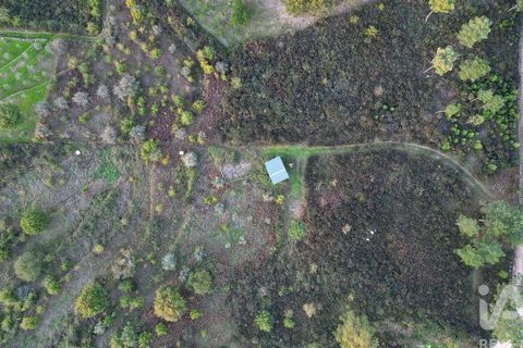 Terra a Seia, Guarda, Seia - € 42.500 | Ref: 130390 - foto 15