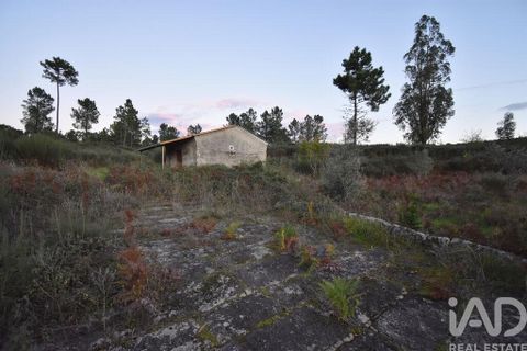 Terra a Seia, Guarda, Seia - € 42.500 | Ref: 130390 - foto 17