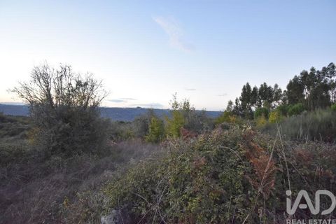Terra a Seia, Guarda, Seia - € 42.500 | Ref: 130390 - foto 22