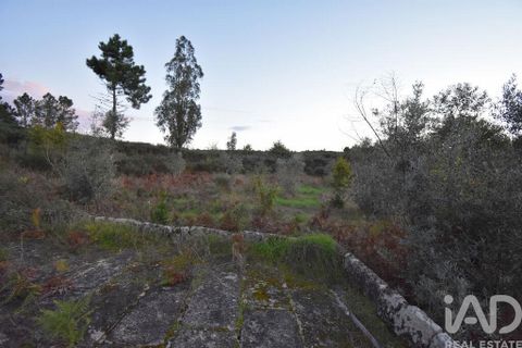 Terra a Seia, Guarda, Seia - € 42.500 | Ref: 130390 - foto 23