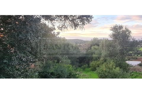 Helårsgrund i Paderne, Faro, Paderne - € 129.990 | Ref: STC2628 - foto 6