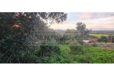 Helårsgrund i Paderne, Faro, Paderne - € 129.990 | Ref: STC2628 - foto 7