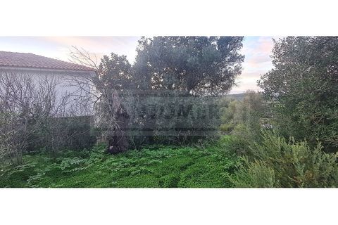 Helårsgrund i Paderne, Faro, Paderne - € 129.990 | Ref: STC2628 - foto 10