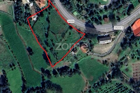Terra a Goaes, Braga, Goaes - € 120.000 | Ref: ZMPT583735 - foto 2