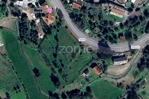 Terra a Goaes, Braga, Goaes - € 120.000 | Ref: ZMPT583735 - foto 3