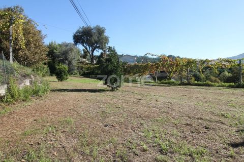 Terra a Goaes, Braga, Goaes - € 120.000 | Ref: ZMPT583735 - foto 5