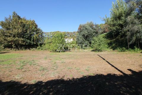 Terra a Goaes, Braga, Goaes - € 120.000 | Ref: ZMPT583735 - foto 6