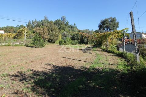 Terra a Goaes, Braga, Goaes - € 120.000 | Ref: ZMPT583735 - foto 7