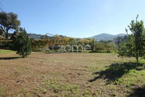 Terra a Goaes, Braga, Goaes - € 120.000 | Ref: ZMPT583735 - foto 8