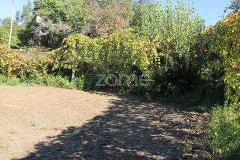 Terra a Goaes, Braga, Goaes - € 120.000 | Ref: ZMPT583735 - foto 9