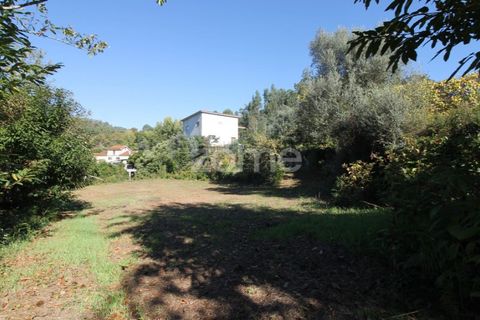 Terra a Goaes, Braga, Goaes - € 120.000 | Ref: ZMPT583735 - foto 10
