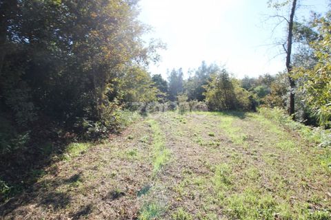 Terra a Goaes, Braga, Goaes - € 120.000 | Ref: ZMPT583735 - foto 12