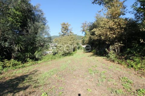 Terra a Goaes, Braga, Goaes - € 120.000 | Ref: ZMPT583735 - foto 13